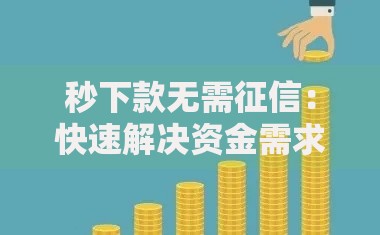 秒下款无需征信：快速解决资金需求的贷款新选择