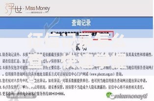 征信记录怎么查：快速掌握个人信用报告的技巧