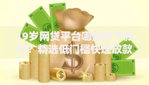 19岁网贷平台哪些好下款快？精选低门槛快速放款渠道