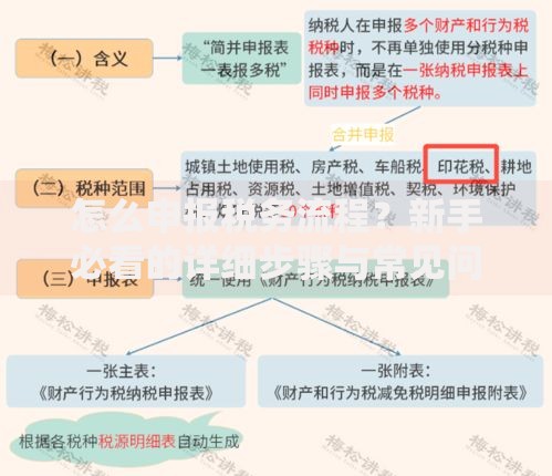 怎么申报税务流程？新手必看的详细步骤与常见问题解析