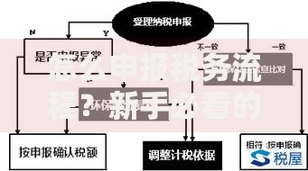 怎么申报税务流程？新手必看的详细步骤与常见问题解析