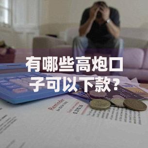 有哪些高炮口子可以下款？用户必知的申请流程与风险分析