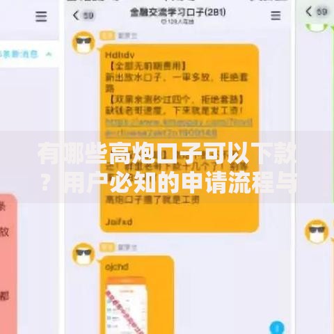 有哪些高炮口子可以下款？用户必知的申请流程与风险分析
