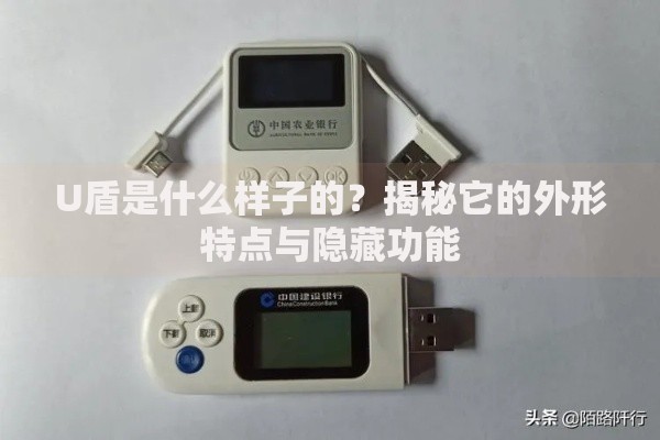 U盾是什么样子的？揭秘它的外形特点与隐藏功能