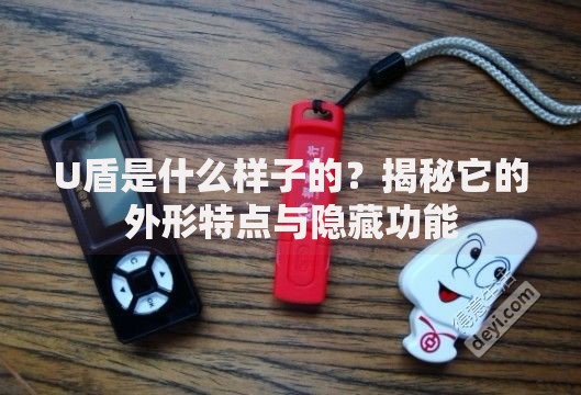 U盾是什么样子的？揭秘它的外形特点与隐藏功能
