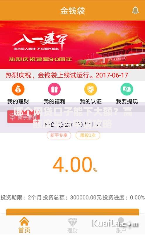 哪个网贷口子能下大额？高额度平台申请攻略