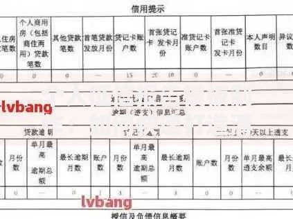个人征信报告模板制作：如何快速打造清晰实用的信用记录指南
