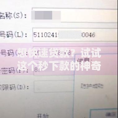 想快速贷款？试试这个秒下款的神奇软件！解析高效借款新选择