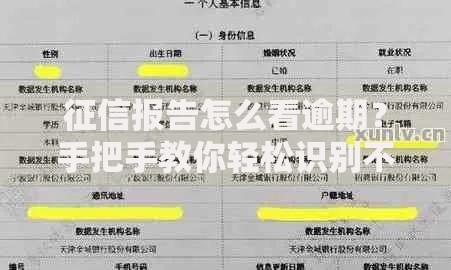 征信报告怎么看逾期？手把手教你轻松识别不良记录