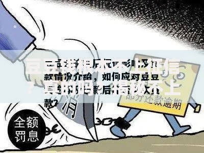 豆豆钱根本不上征信？真的吗？揭秘不上征信的三大真相
