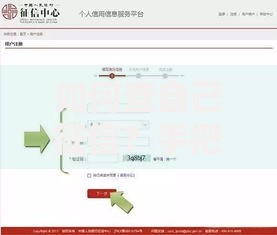 如何查自己征信？手把手教你快速掌握查询技巧