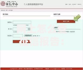 网上怎么查征信报告：手把手教你轻松获取信用记录
