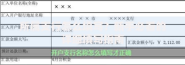 所属支行怎么填写？新手必看的详细填写指南