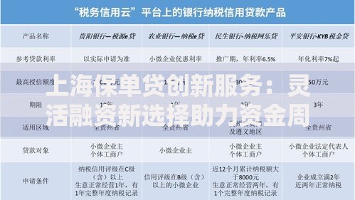 上海保单贷创新服务：灵活融资新选择助力资金周转
