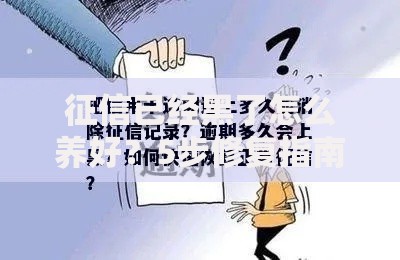 征信已经黑了怎么养好？5步修复指南助你重回正轨