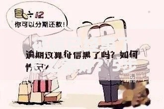 征信已经黑了怎么养好？5步修复指南助你重回正轨