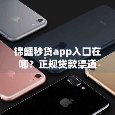 锦鲤秒贷app入口在哪？正规贷款渠道与使用指南