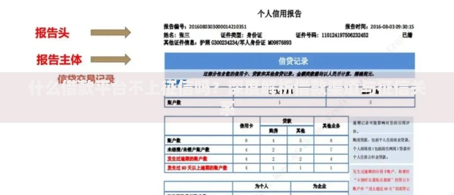 什么借款平台不上征信吗？深度解析借款渠道与征信关系