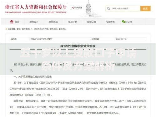 五十岁以上贷款口子申请条件及方案解析