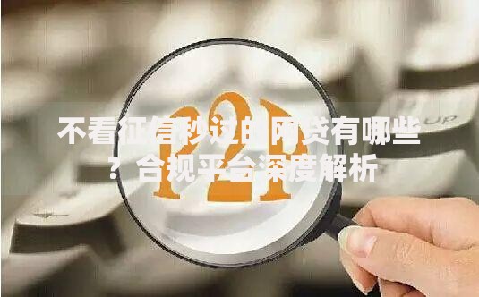 不看征信秒过的网贷有哪些？合规平台深度解析