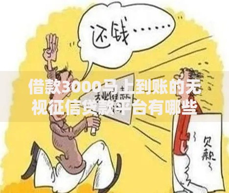 借款3000马上到账的无视征信贷款平台有哪些？如何快速申请？
