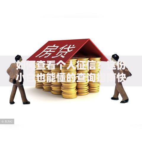 如何查看个人征信？这份小白也能懂的查询指南快收好