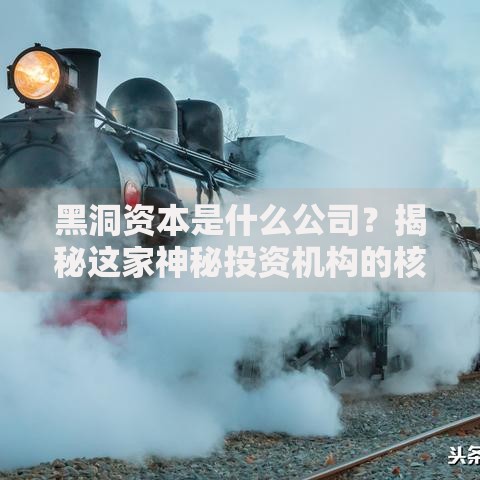 黑洞资本是什么公司？揭秘这家神秘投资机构的核心布局
