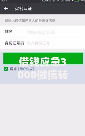 借钱应急3000微信转账：快速借款渠道与注意事项