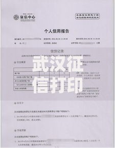 武汉征信打印：快速获取个人信用报告的实用指南