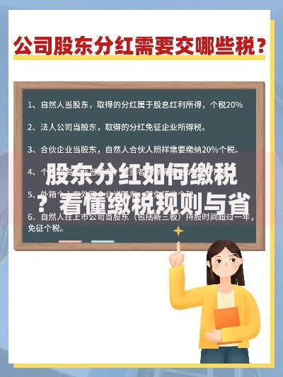 股东分红如何缴税？看懂缴税规则与省税技巧
