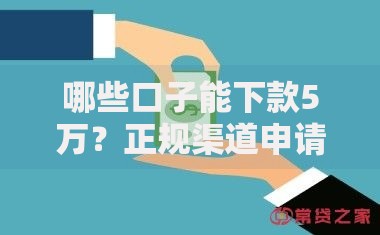 哪些口子能下款5万？正规渠道申请攻略解析