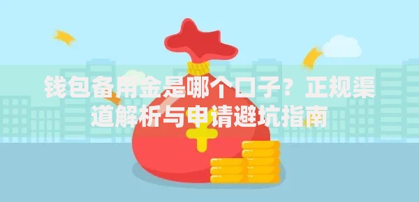 钱包备用金是哪个口子？正规渠道解析与申请避坑指南