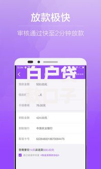 白户贷款口子17有哪些选择？怎么申请才能快速下款？