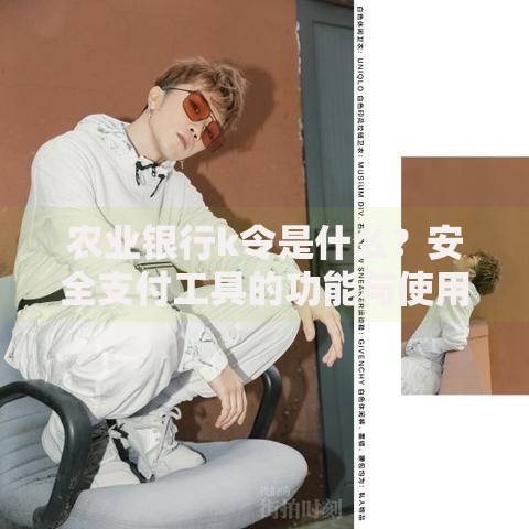 农业银行k令是什么？安全支付工具的功能与使用场景解析