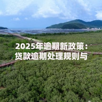 2025年逾期新政策：贷款逾期处理规则与信用修复指南