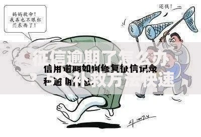 征信逾期了怎么办？5个补救方法快速修复信用记录