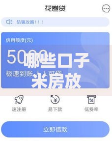 哪些口子米房放款？如何选择正规渠道快速下款