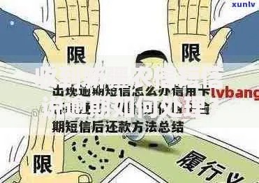 收到新疆农信短信说逾期如何处理？详细解决方案解析