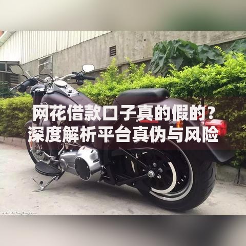 网花借款口子真的假的？深度解析平台真伪与风险防范