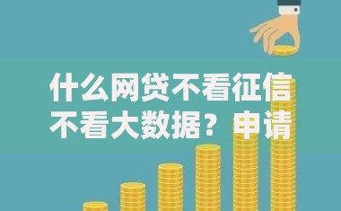什么网贷不看征信不看大数据?申请条件与平台解析 什么网贷不看征信不看大数据?申请条件与平台解析