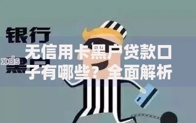 无信用卡黑户贷款口子有哪些？全面解析正规渠道与风险