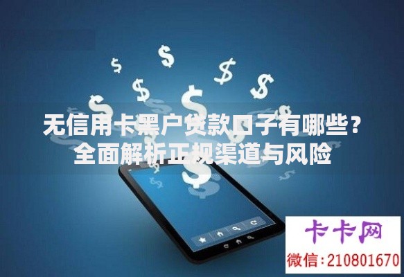 无信用卡黑户贷款口子有哪些？全面解析正规渠道与风险
