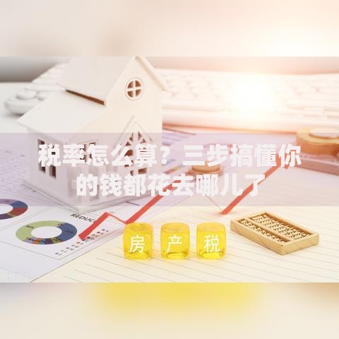 税率怎么算？三步搞懂你的钱都花去哪儿了