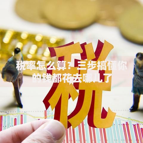 税率怎么算？三步搞懂你的钱都花去哪儿了