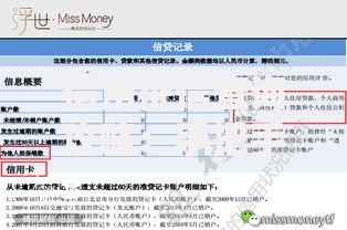 信用征信查询攻略：手把手教你避开报告中的隐藏坑