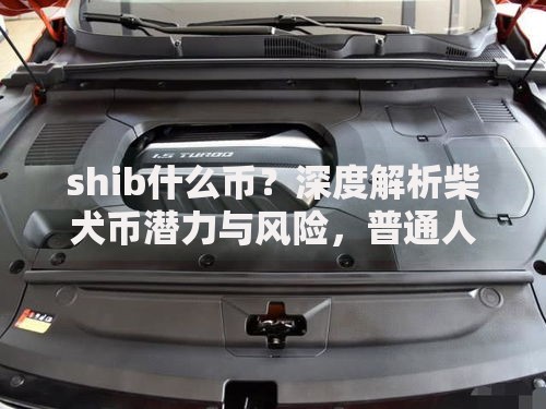 shib什么币？深度解析柴犬币潜力与风险，普通人如何布局