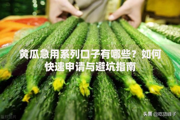 黄瓜急用系列口子有哪些？如何快速申请与避坑指南