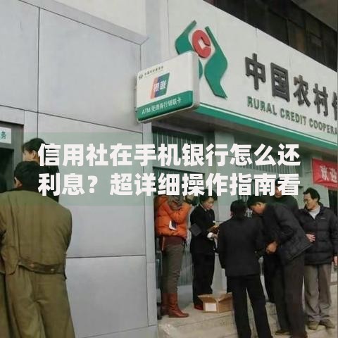 信用社在手机银行怎么还利息？超详细操作指南看这里