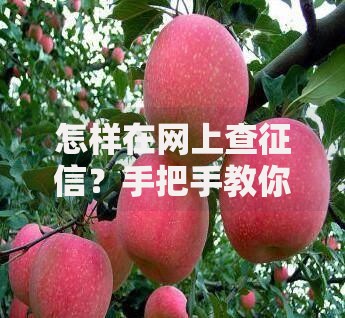 怎样在网上查征信？手把手教你5步轻松搞定信用报告