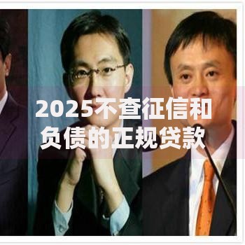 2025不查征信和负债的正规贷款如何申请